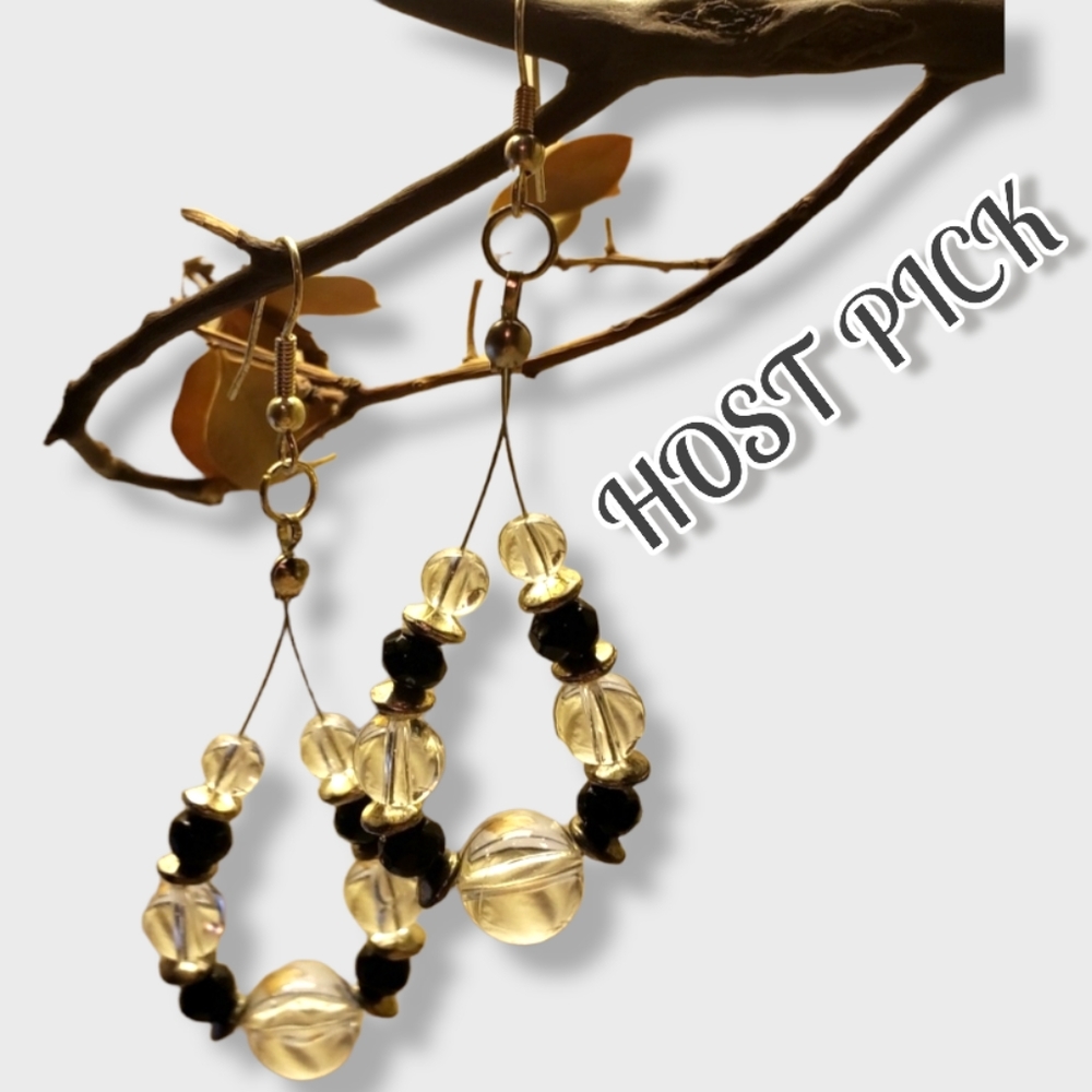 HP 😊 "Black Clarity" Fish Hook Earrings